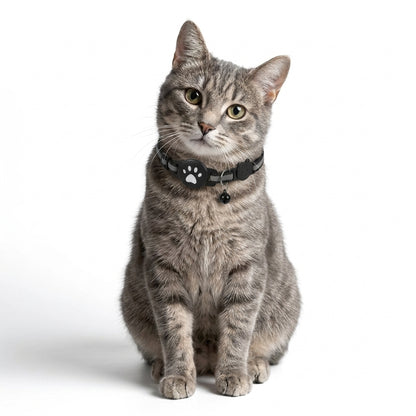 Cat Tracker Collar – No Monthly Fees
