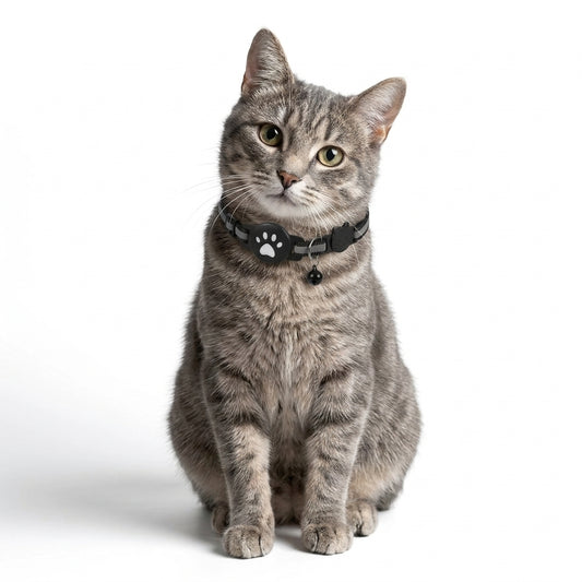 Cat Tracker Collar – No Monthly Fees